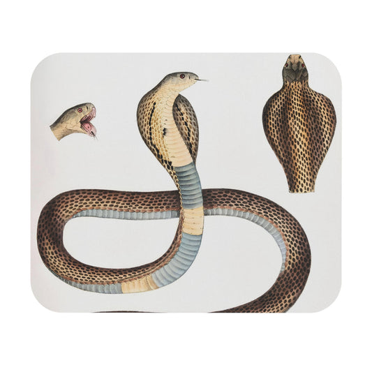 Snake Diagram Mouse Pad with cool snake drawing art, desk and office decor showcasing detailed snake diagrams.