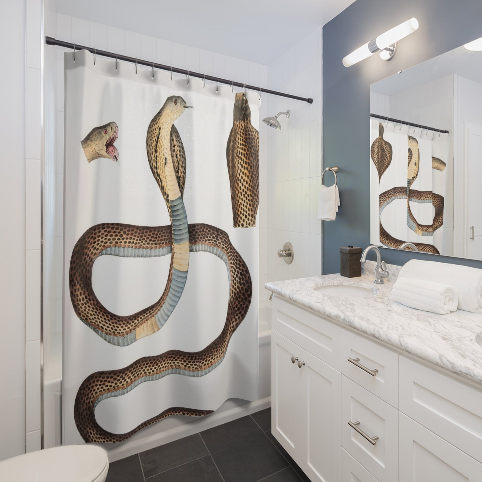 Snake Diagram Shower Curtain Best Bathroom Decorating Ideas for Science Decor