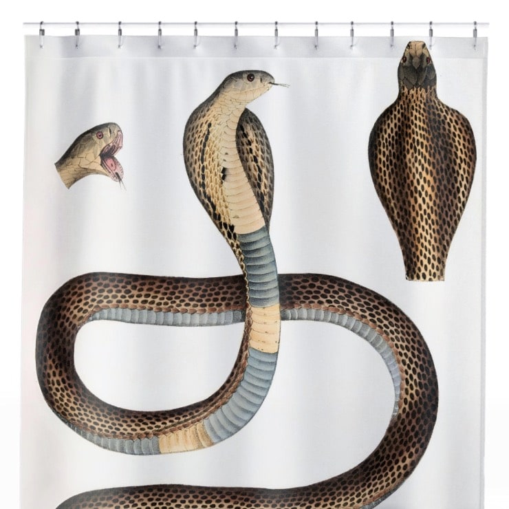 Snake Diagram Shower Curtain Close Up, Science Shower Curtains