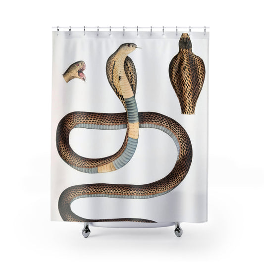 Snake Diagram Shower Curtain with cool snake drawing design, scientific bathroom decor featuring detailed reptile diagrams.