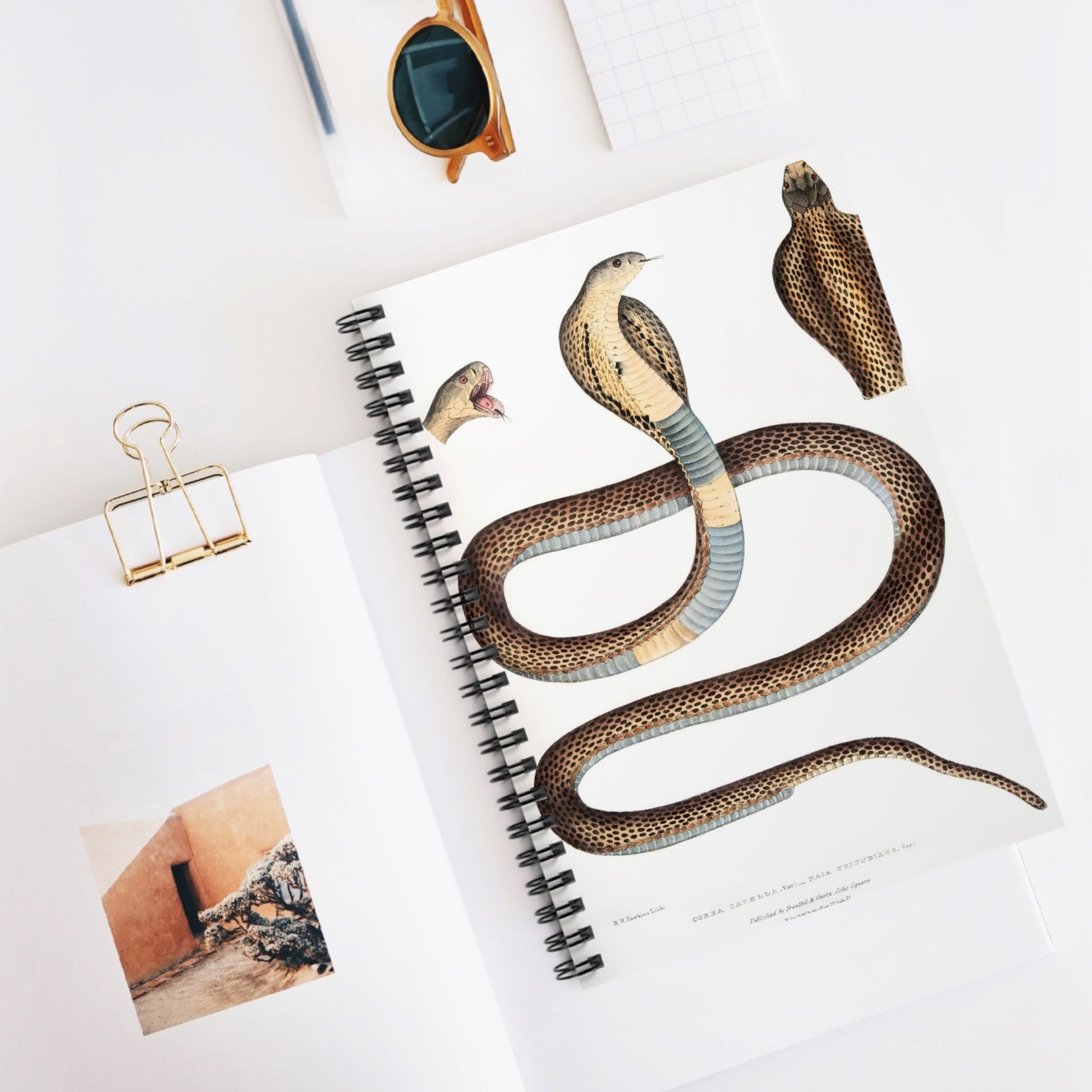 Snake Diagram Spiral Notebook Displayed on Desk