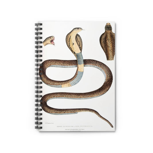 Snake Diagram Notebook with cool snake drawing cover, perfect for journaling and planning, featuring detailed snake diagrams.