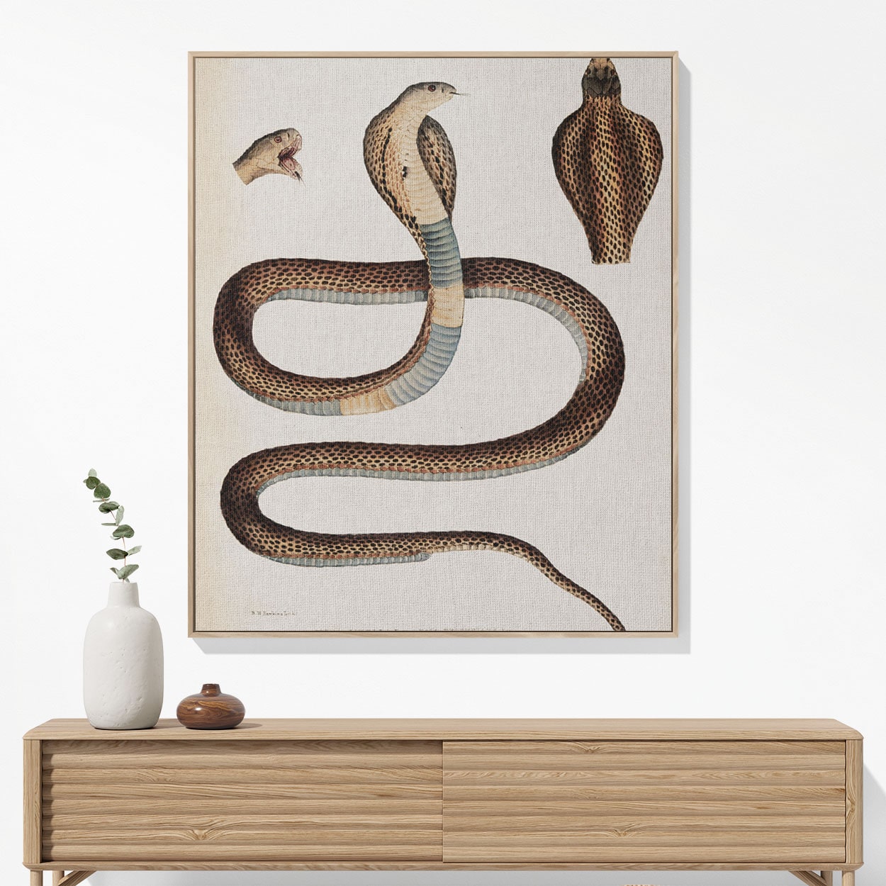 Snake Diagram Woven Blanket Hanging on a Wall as Framed Wall Art