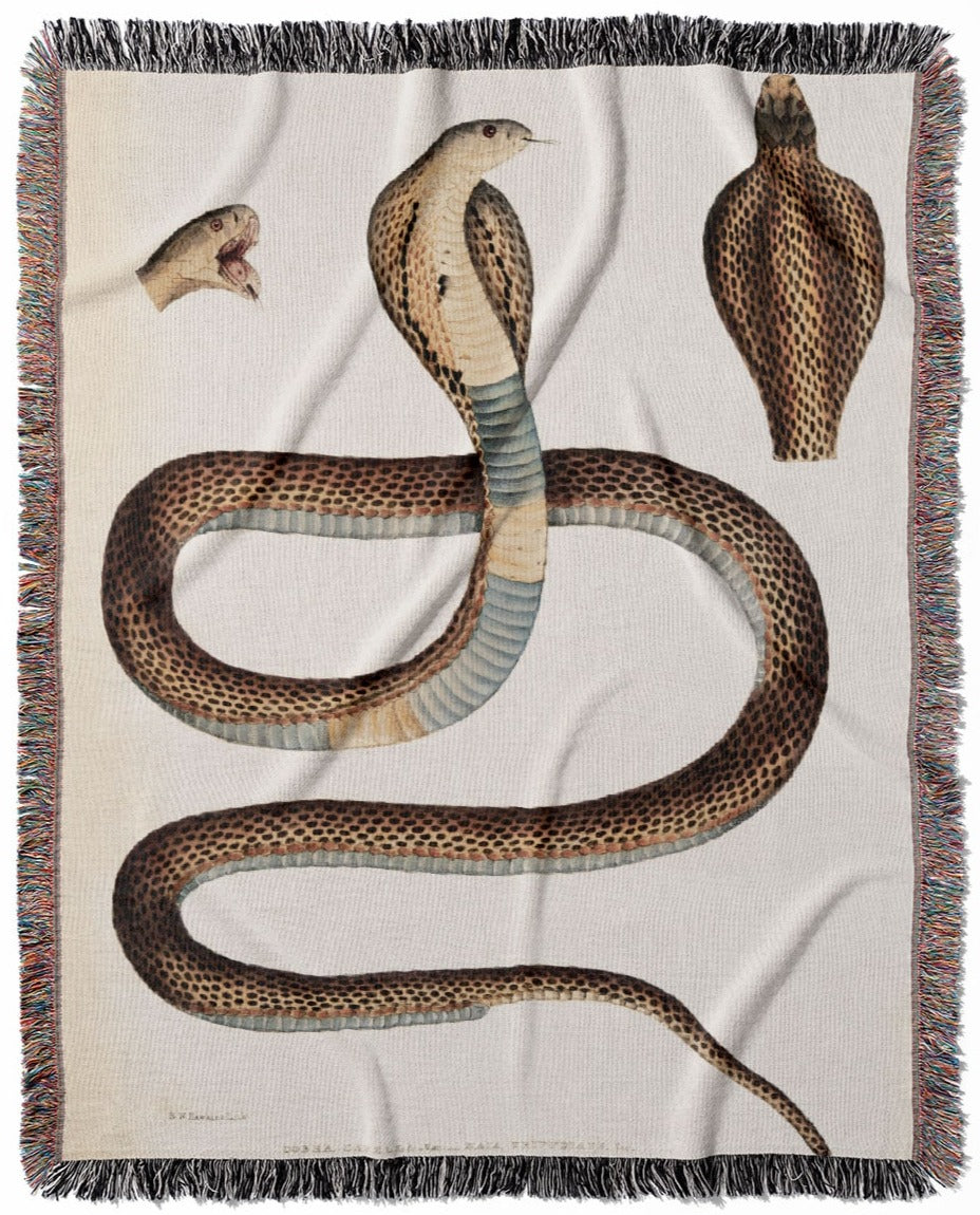 Snake Diagram woven throw blanket, crafted from 100% cotton, delivering a soft and cozy texture with a cool snake drawing for home decor.