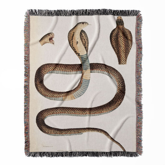 Snake Diagram woven throw blanket, crafted from 100% cotton, delivering a soft and cozy texture with a cool snake drawing for home decor.