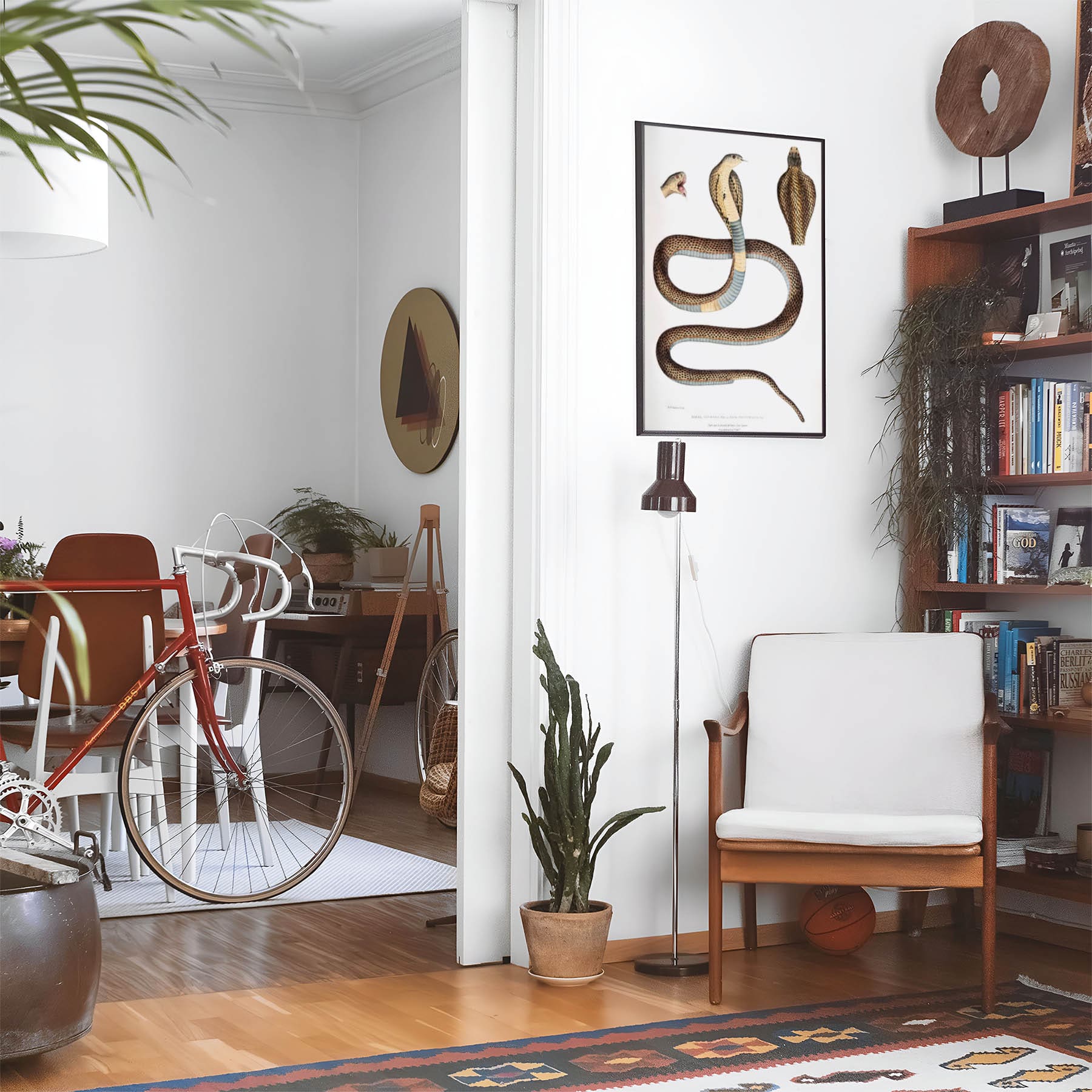 Eclectic living room with a road bike, bookshelf and house plants that features framed artwork of a Cool Snake above a chair and lamp