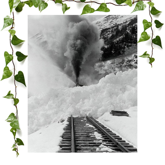 Snow Train art prints featuring a humor and fun, vintage wall art room decor