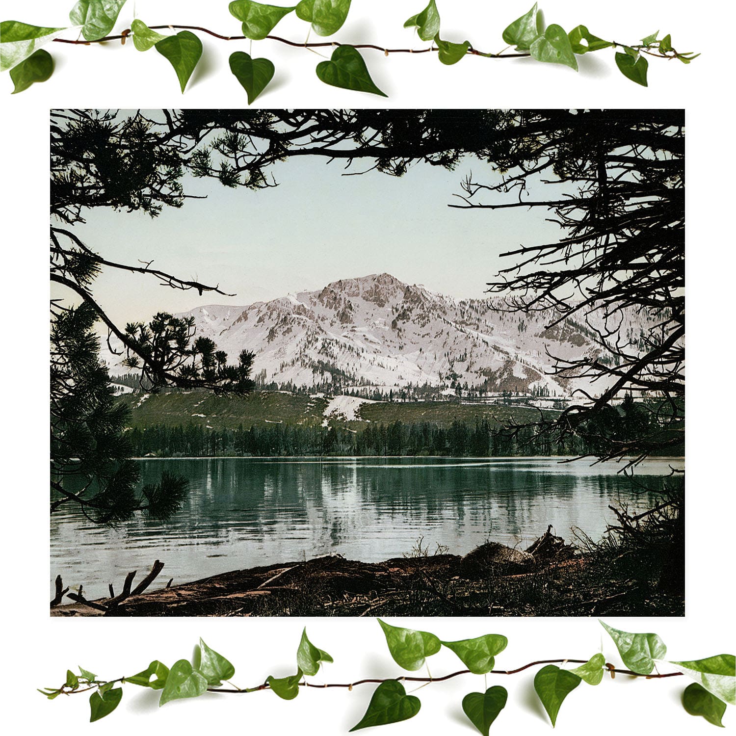 Vintage art print of snowy mountains featuring Mt. Tallac, ideal for wall decor.