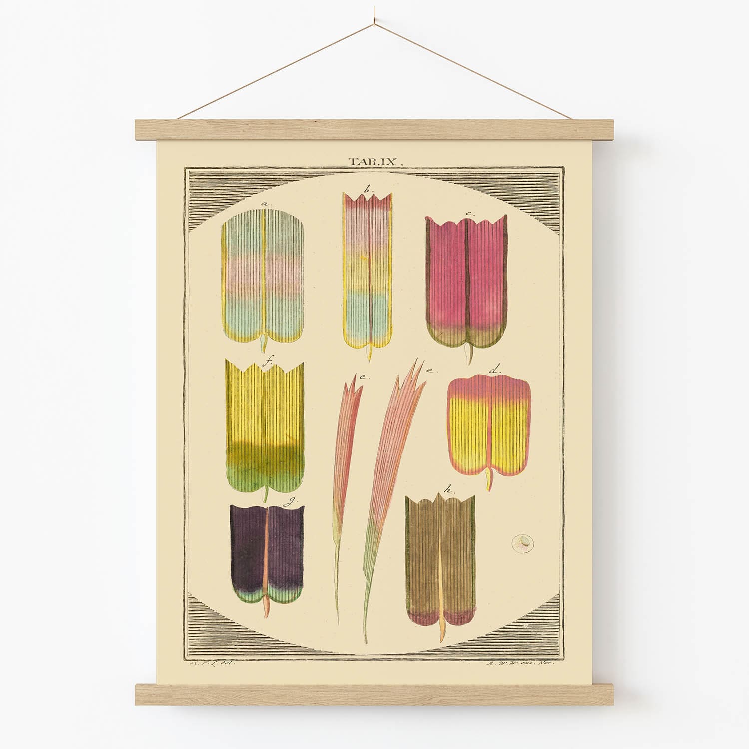 Abstract Colorful Nature Art Print in Wood Hanger Frame on Wall