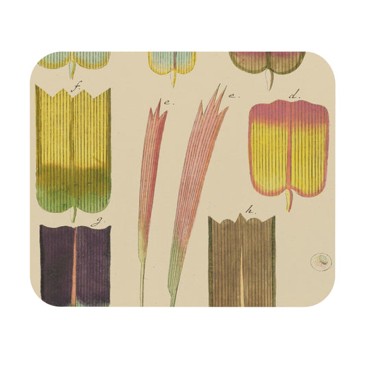 Abstract Wings Mouse Pad featuring butterflies theme, ideal for desk and office decor.