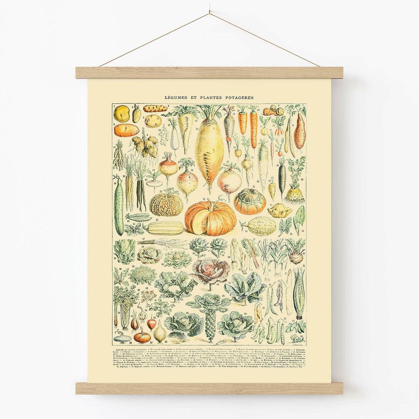 Garden Variety Art Print in Wood Hanger Frame on Wall