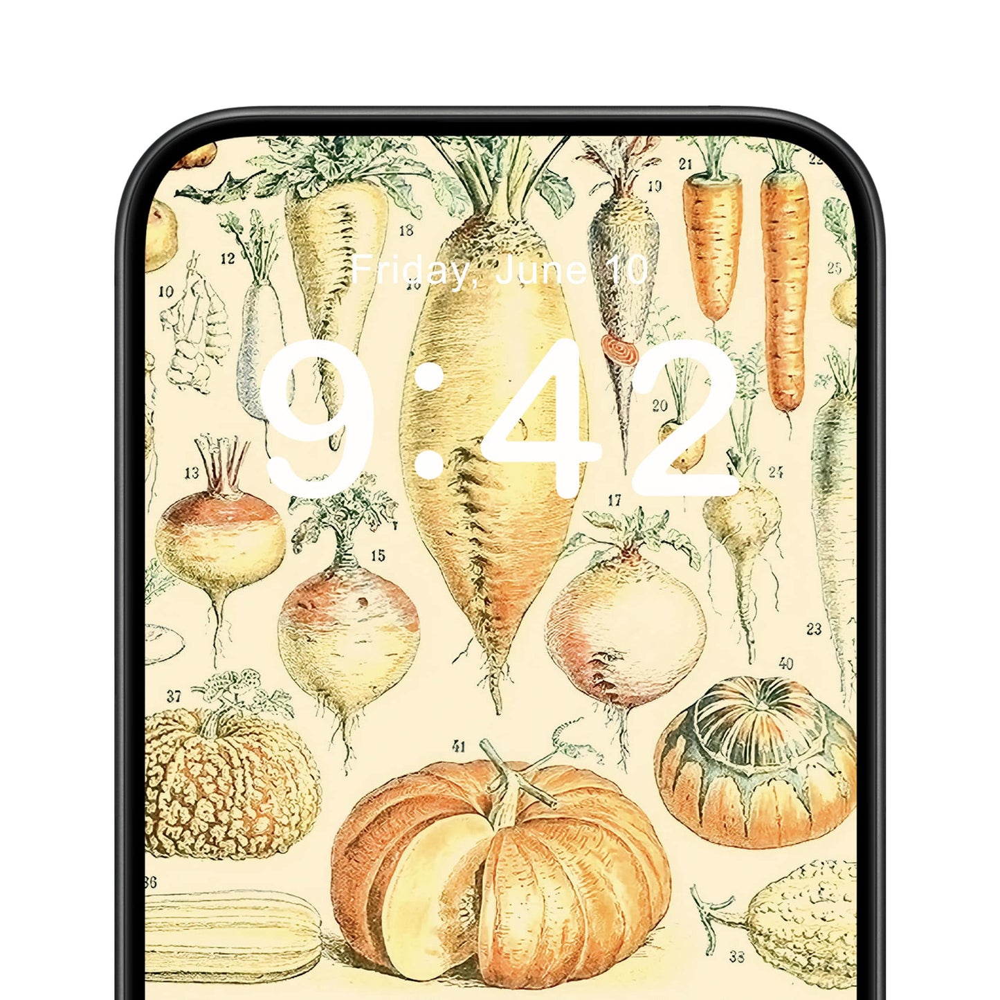 Vegetables Phone Wallpaper Close Up