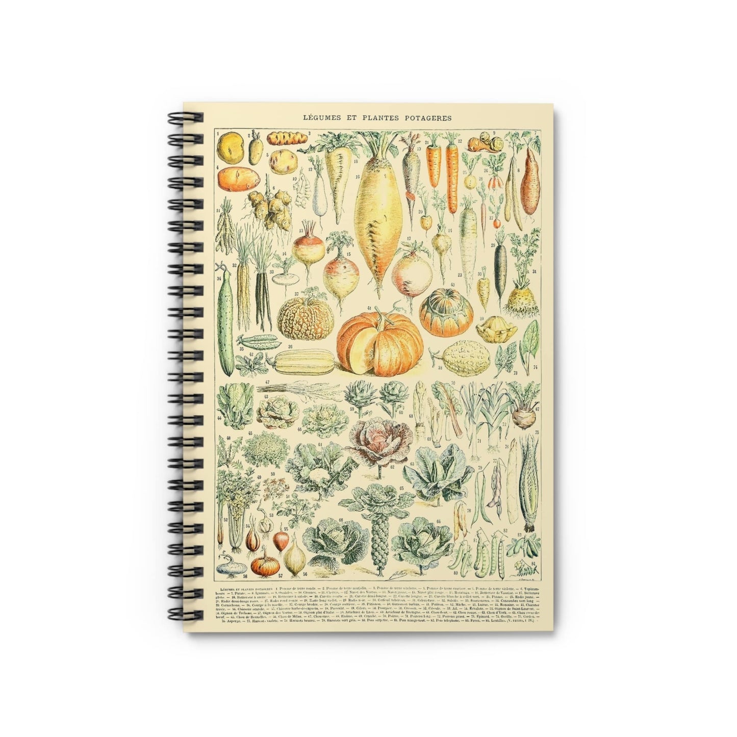 Vegetables Notebook with Garden Variety cover, ideal for journaling and planning, featuring a variety of garden vegetables.
