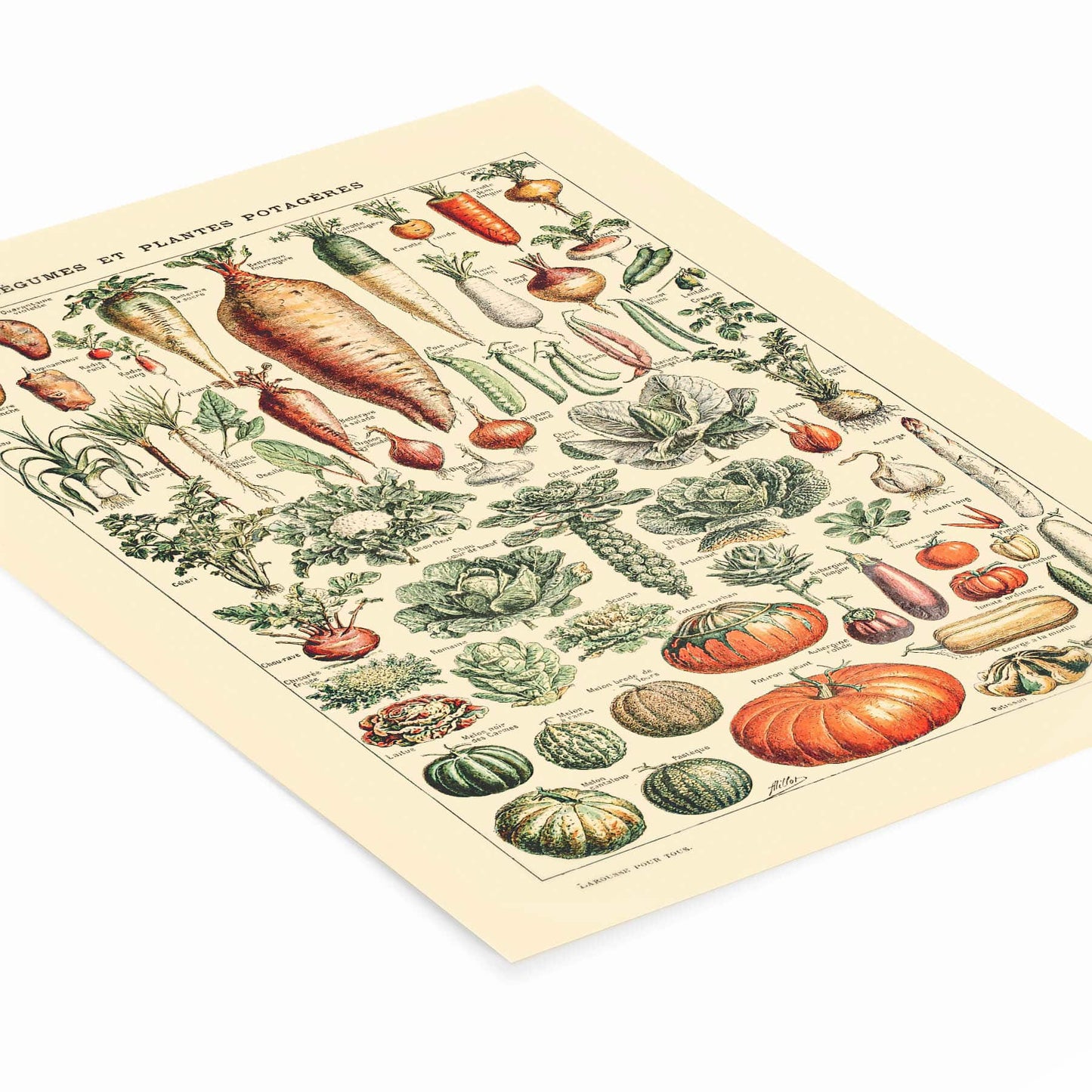 Garden Vegetables Painting Laying Flat on a White Background