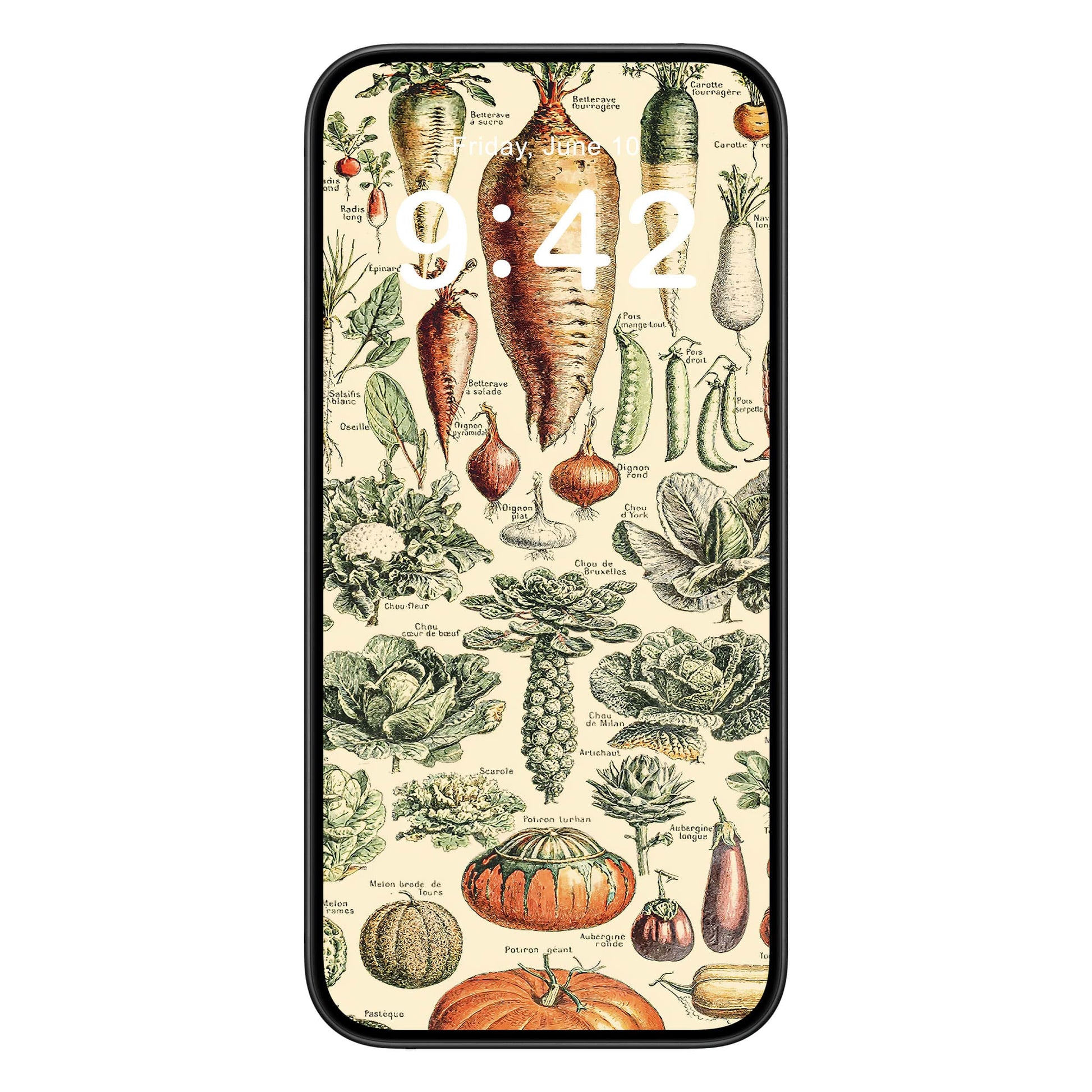 Vegetable Chart phone wallpaper background with botanical design shown on a phone lock screen, instant download available.