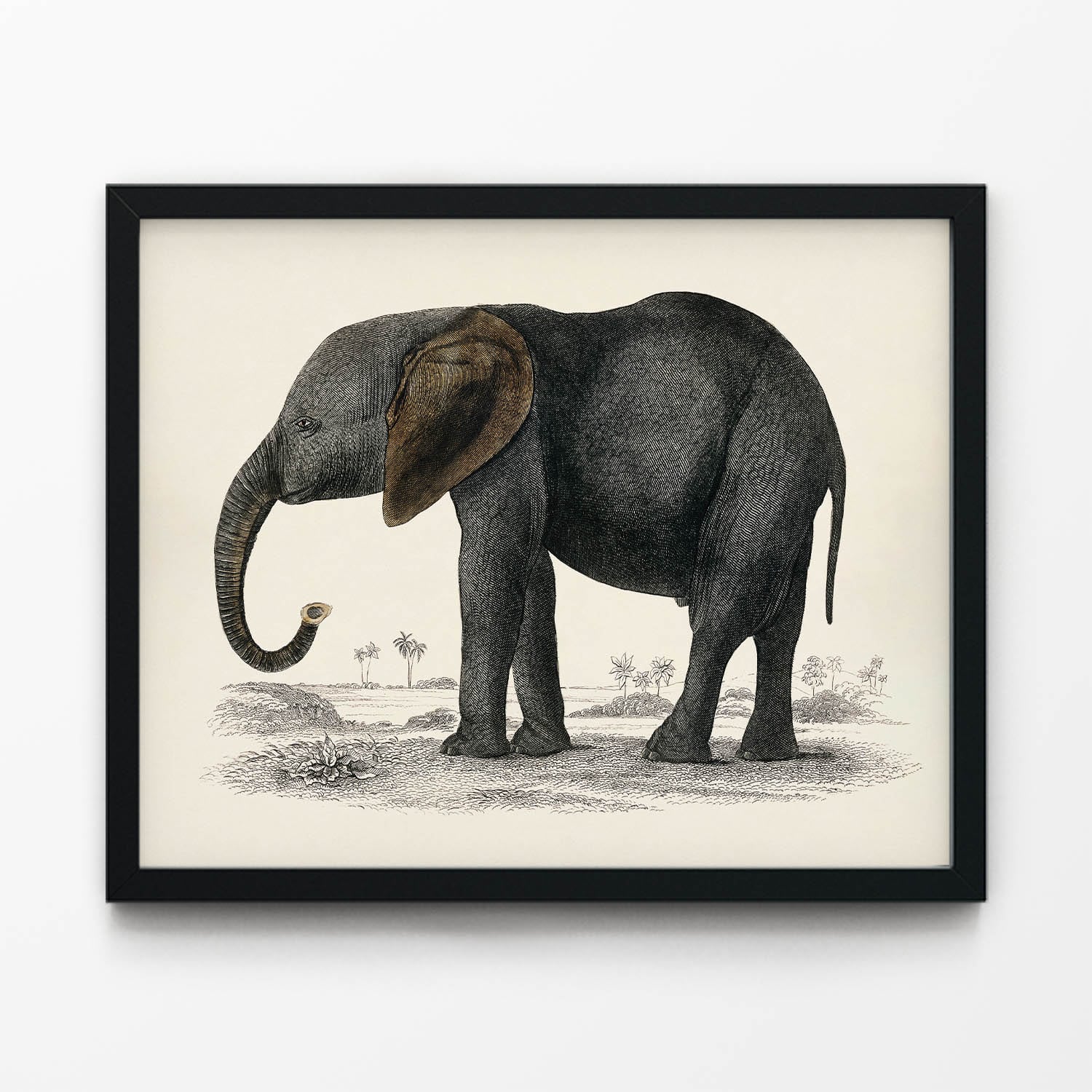 Cute Elephant Drawing in Black Picture Frame