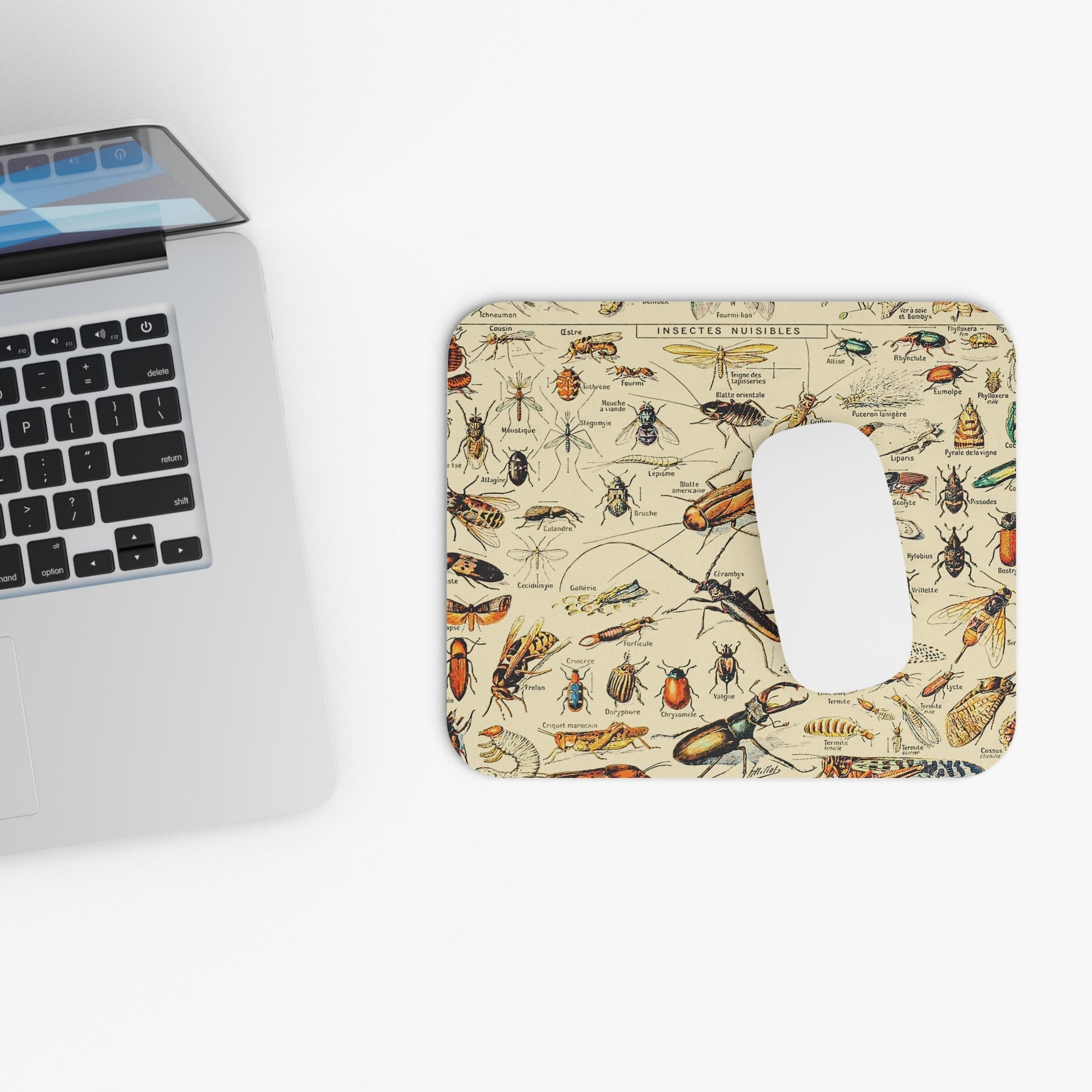 Vintage Bugs and Insects Design Laptop Mouse Pad with White Mouse