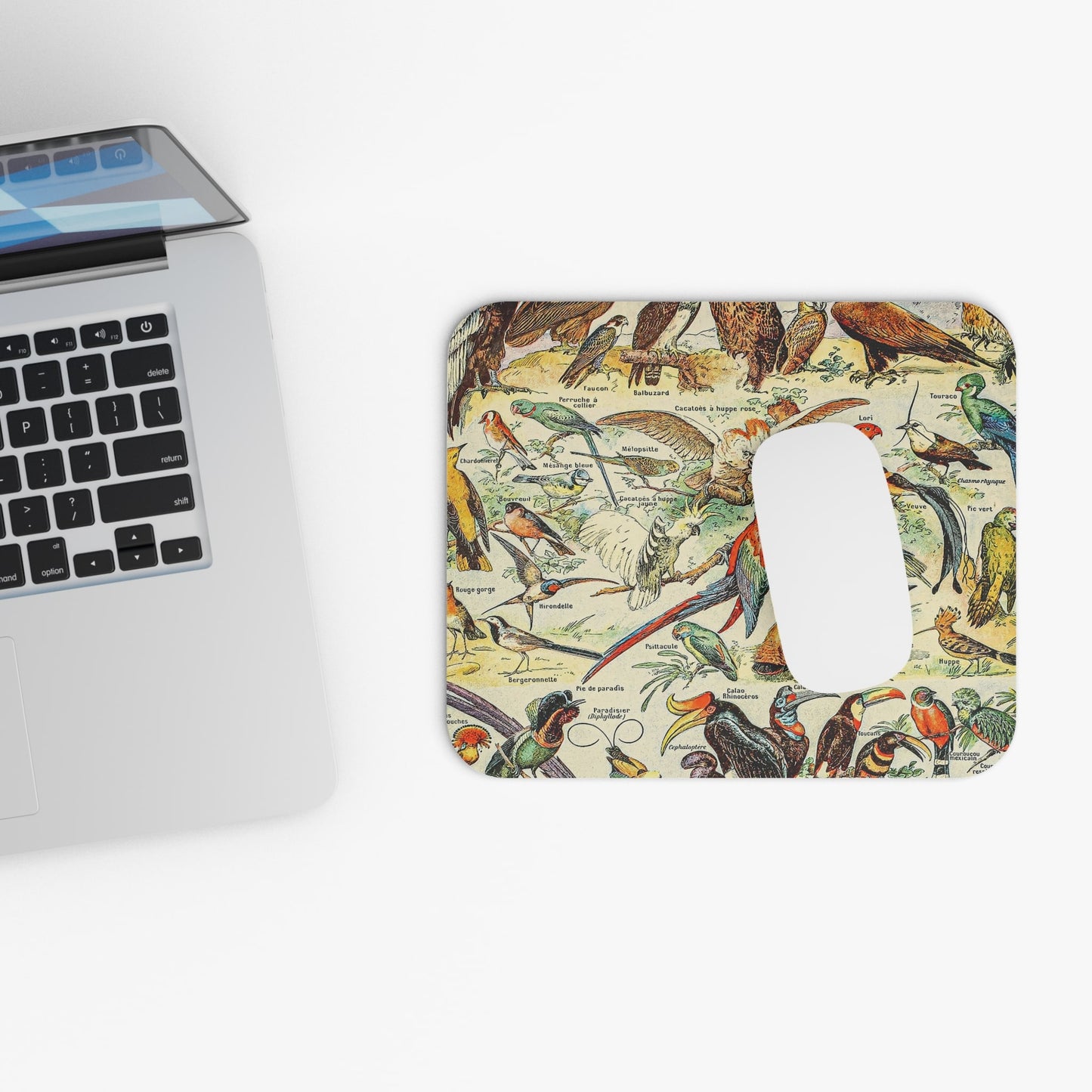 Vintage Collection of Birds Design Laptop Mouse Pad with White Mouse