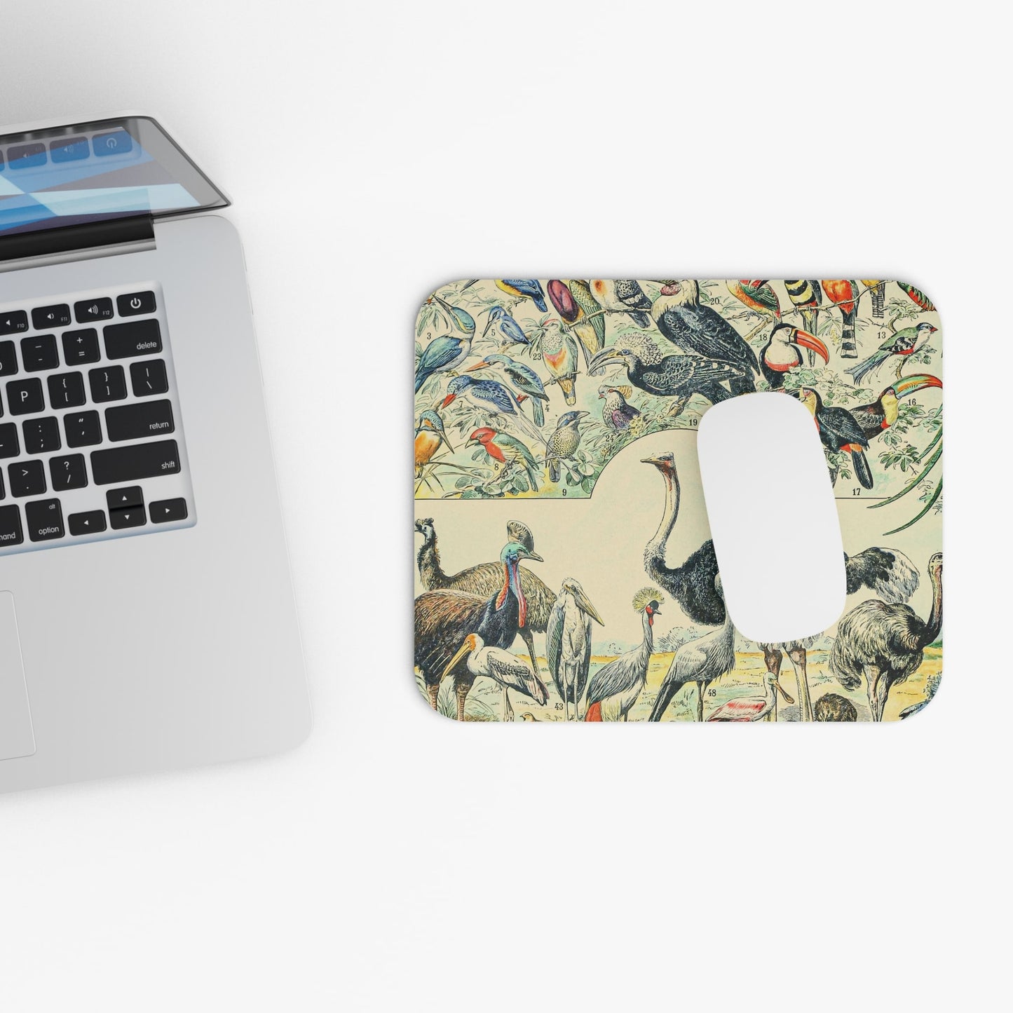 Vintage Collection of Birds Design Laptop Mouse Pad with White Mouse