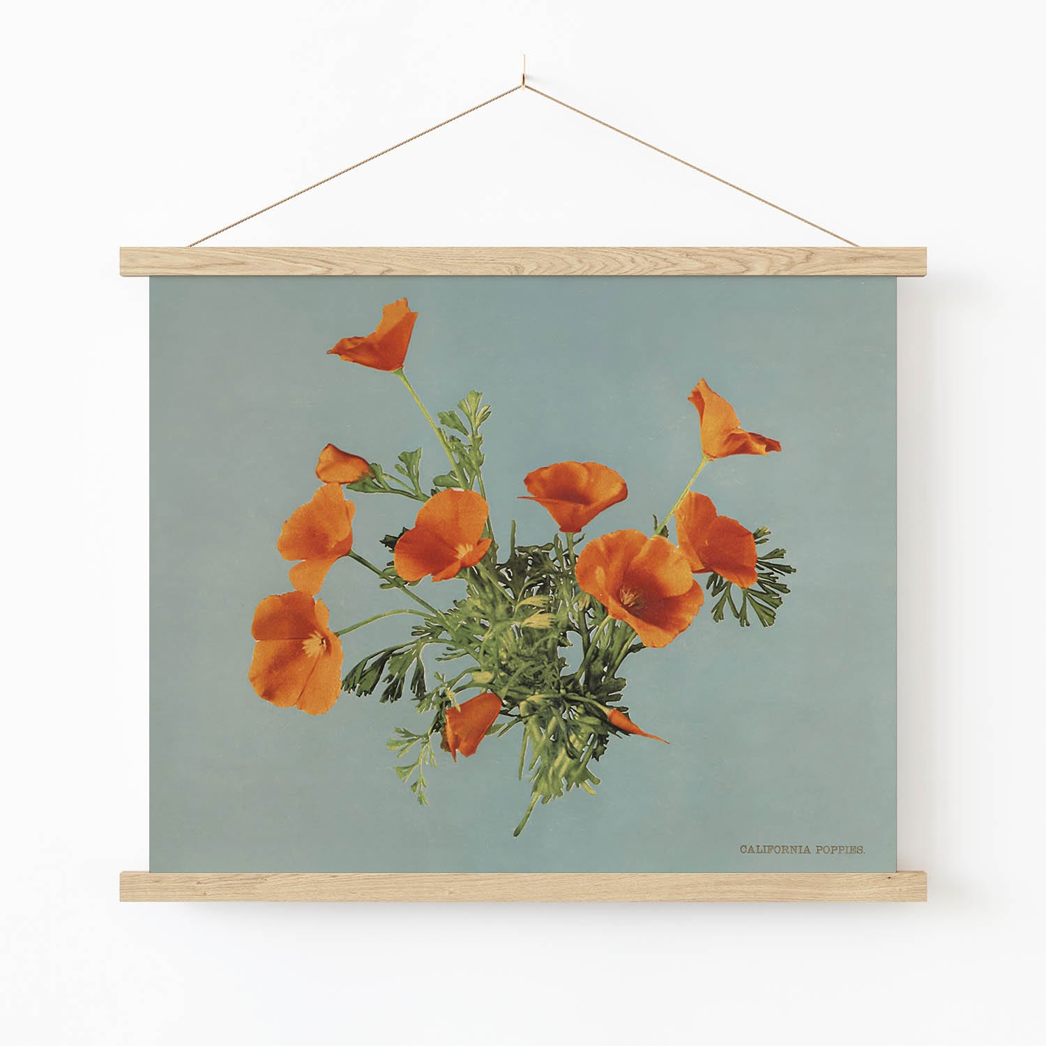 Vintage Floral Art Print in Wood Hanger Frame on Wall