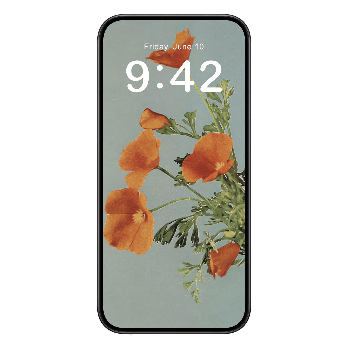 Vintage Floral phone wallpaper background with poppy flowers design shown on a phone lock screen, instant download available.