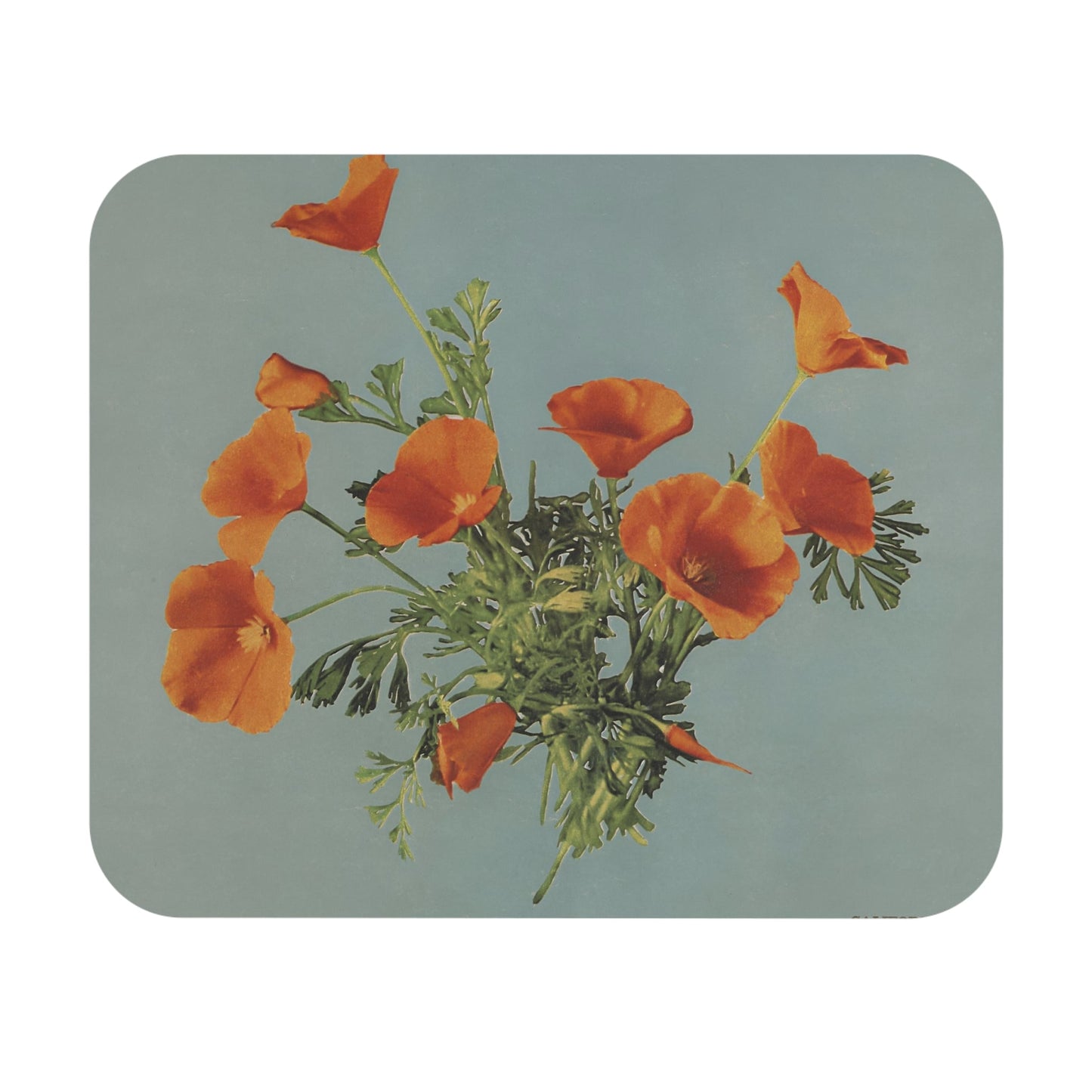 Vintage Floral Mouse Pad with poppy flowers design, desk and office decor showcasing vibrant poppy flower artwork.