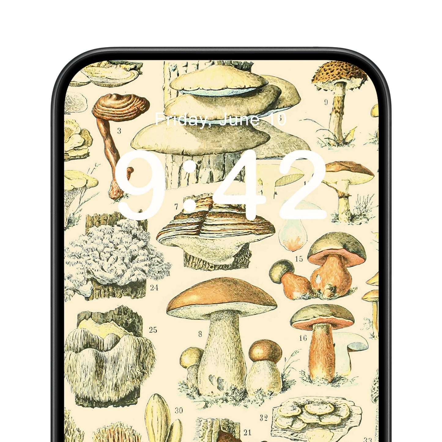 Vintage Mushroom Phone Wallpaper Close Up