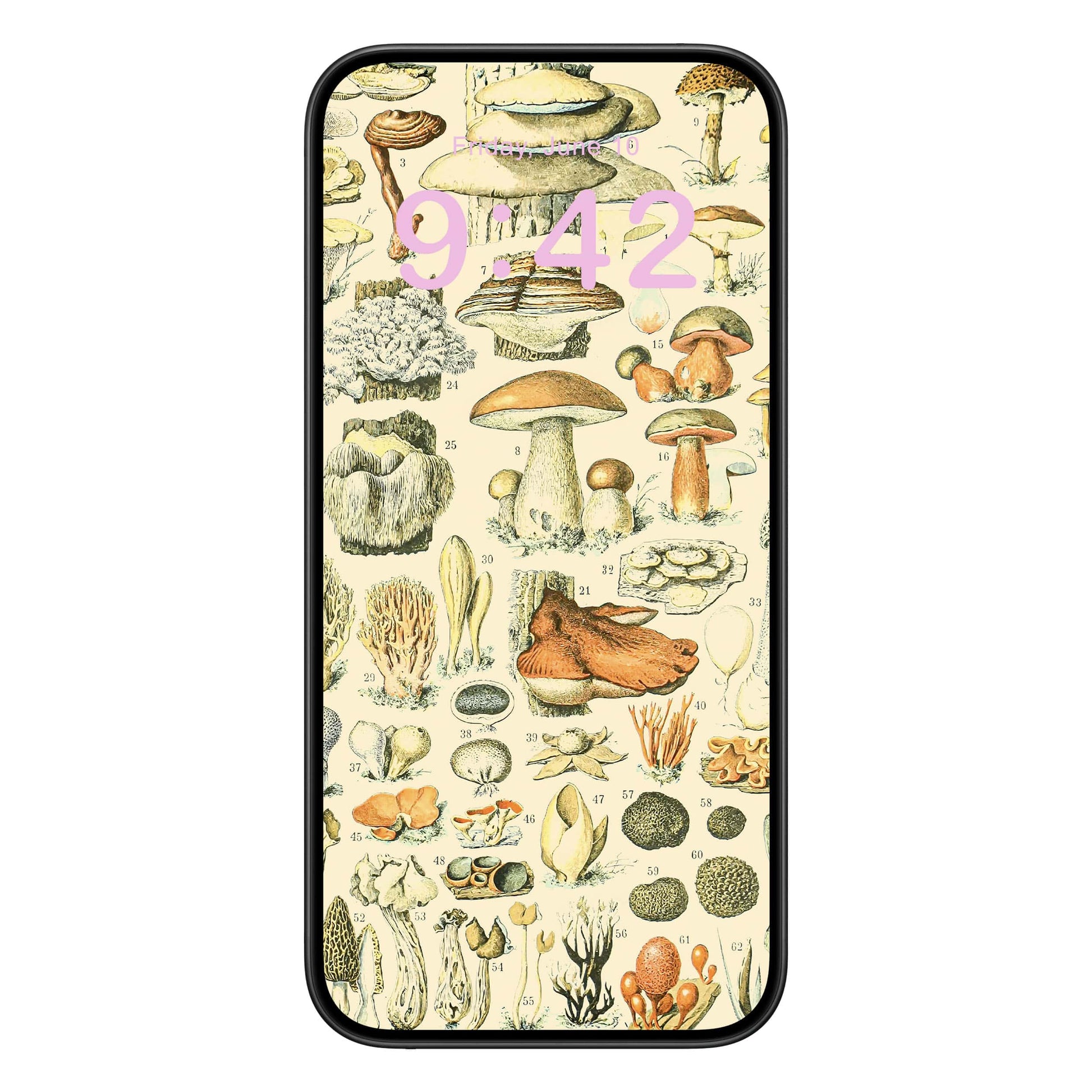 Vintage Mushroom Phone Wallpaper Pink Text