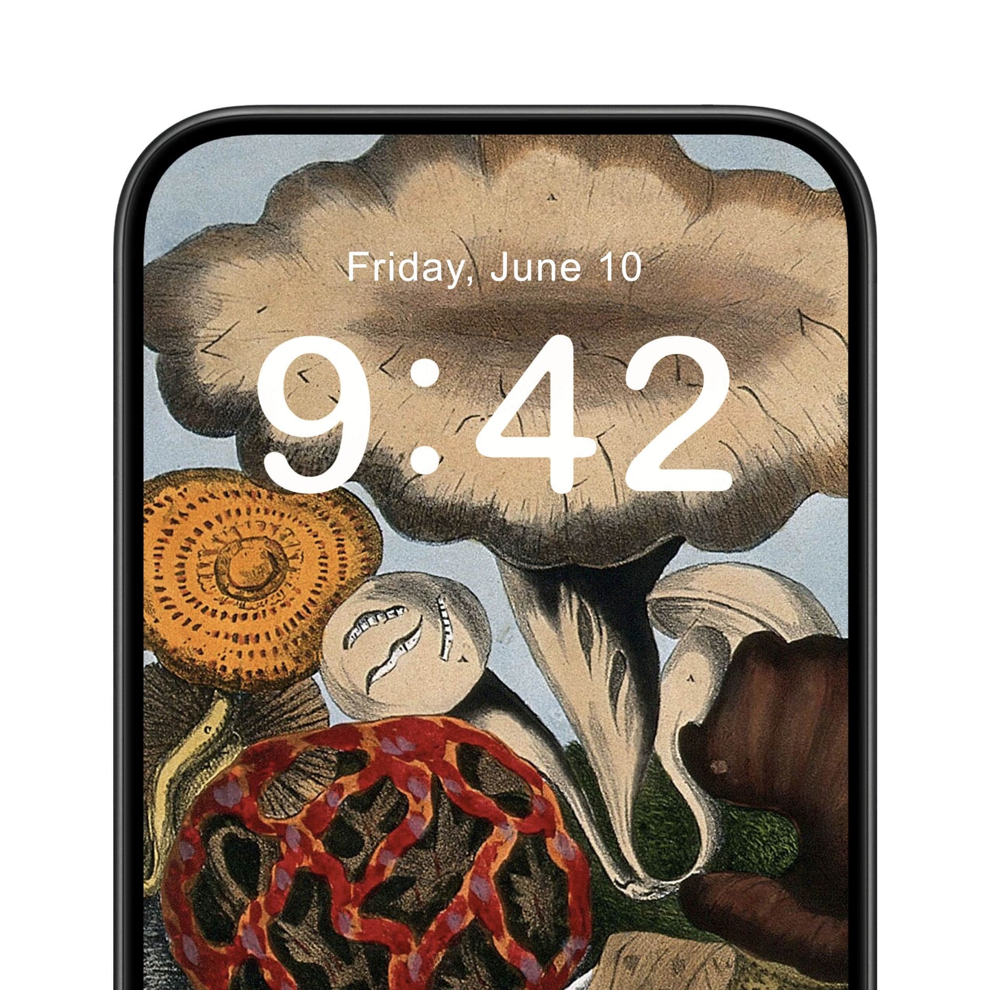 Vintage Mushroom Phone Wallpaper Close Up