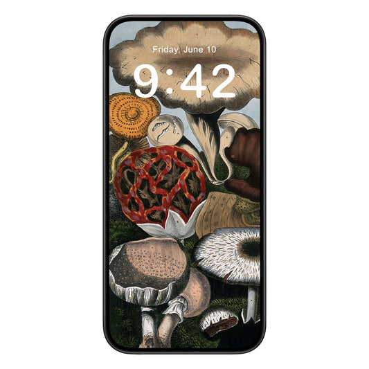 Vintage Mushroom phone wallpaper background with mushrooms painting design shown on a phone lock screen, instant download available.