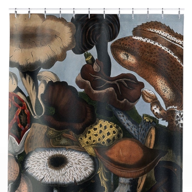 Vintage Mushroom Shower Curtain Close Up, Botanical Shower Curtains