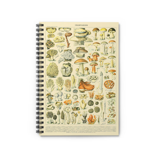 Vintage Mushroom Notebook with trippy mushroom cover, ideal for journals and planners, showcasing unique and colorful mushroom illustrations.