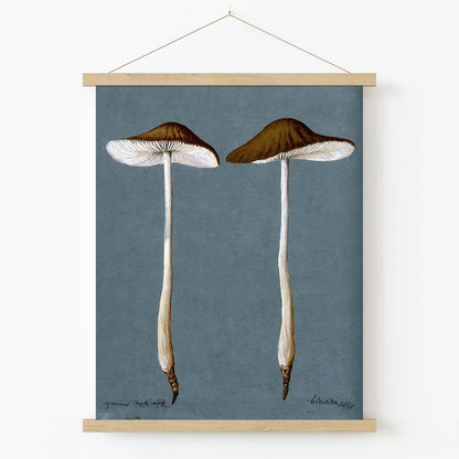 Vintage Mushrooms Art Print in Wood Hanger Frame on Wall