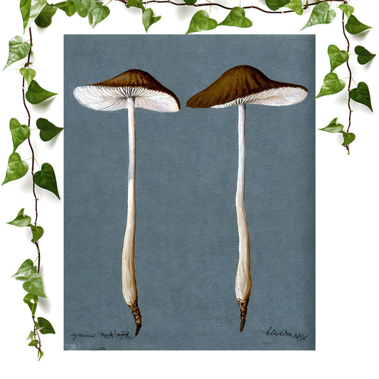 Cool mushroom art print, ideal for vintage wall art decor.