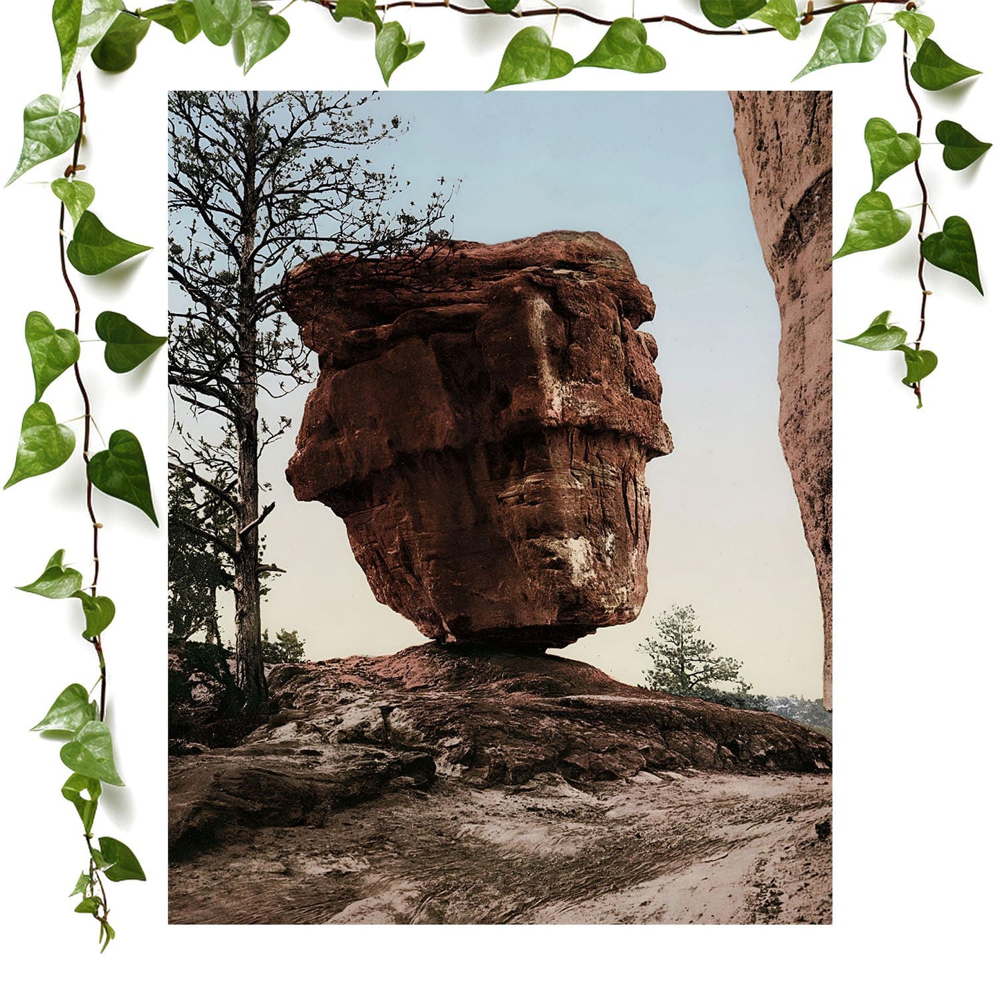 Vintage Nature Photo art print garden of the gods, vintage wall art room decor