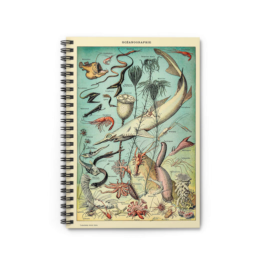 Vintage Ocean Notebook with Sharks and Eels cover, ideal for journaling and planning, showcasing vintage illustrations of sharks and eels.
