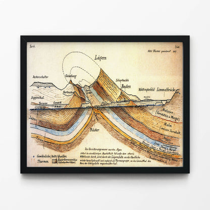 Vintage Scientific Art Print in Black Picture Frame