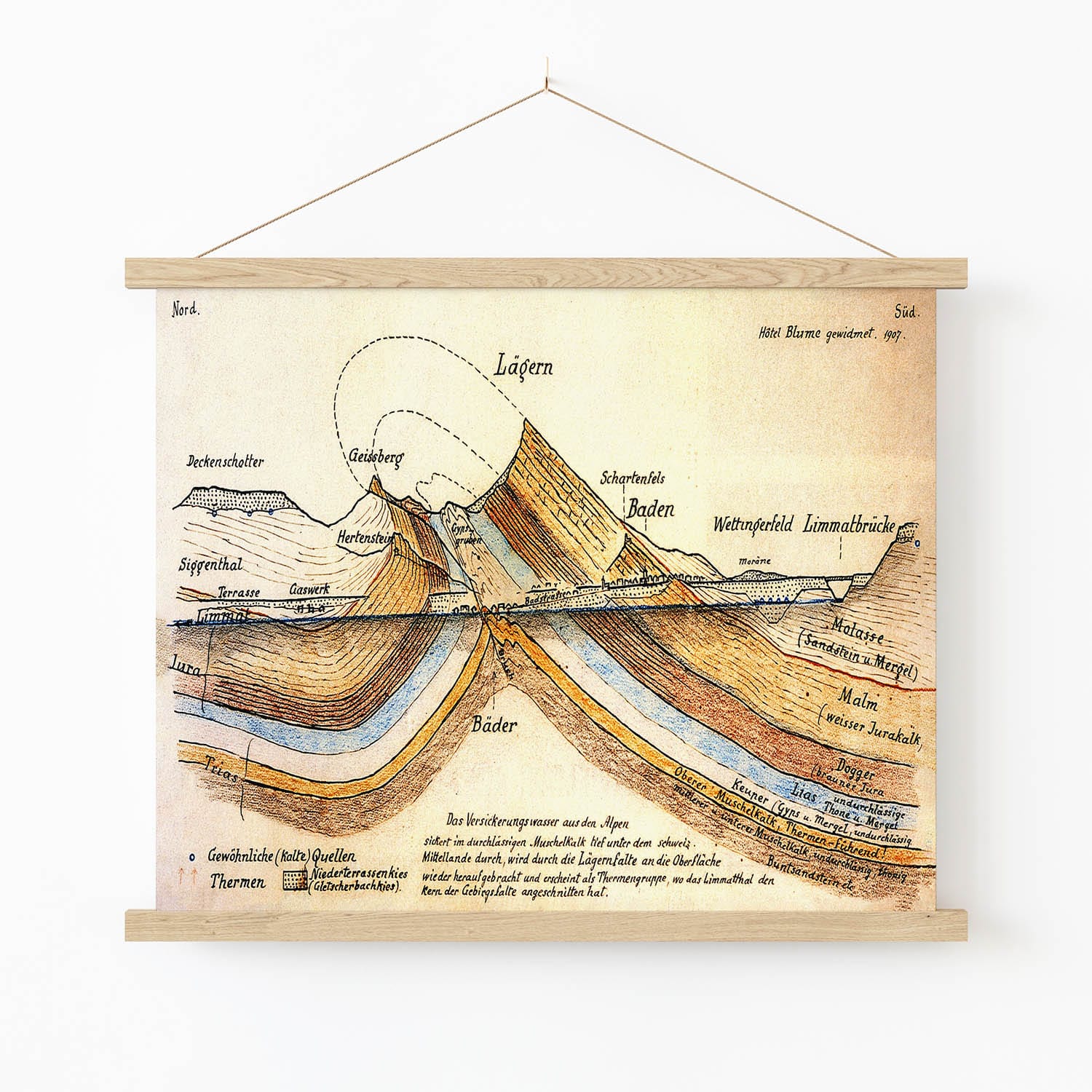 Vintage Scientific Art Print in Wood Hanger Frame on Wall