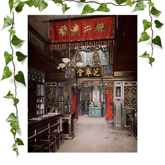 Chinatown art print antique pharmacy, vintage wall art room decor