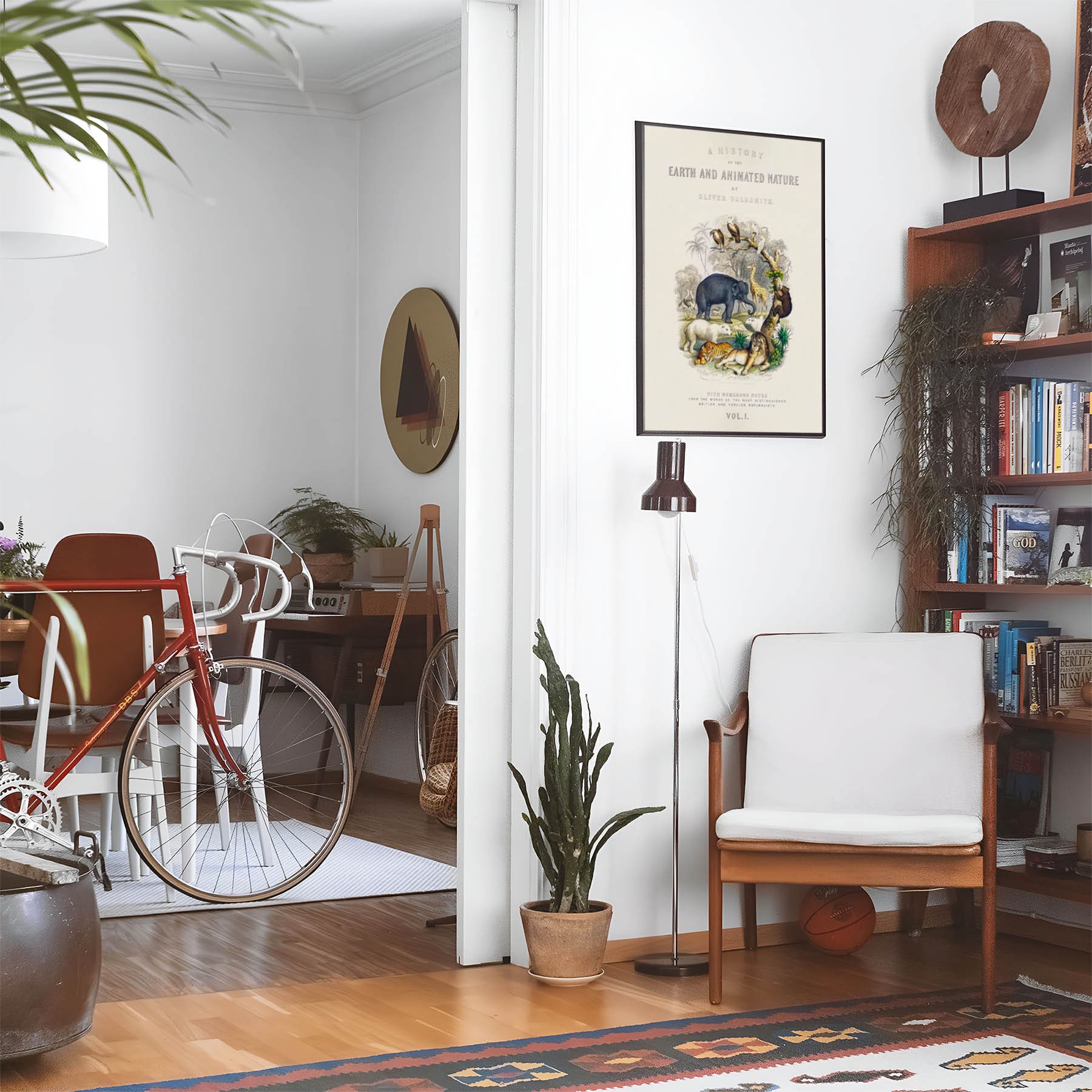 Eclectic living room with a road bike, bookshelf and house plants that features framed artwork of a Wild Animal Book Cover above a chair and lamp