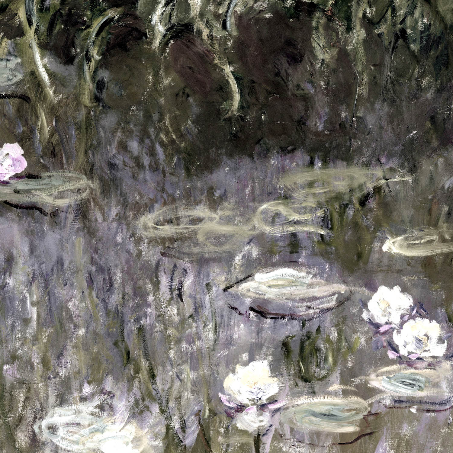 White Lilies on a Pond Art Print Close Up Detail Shot 2