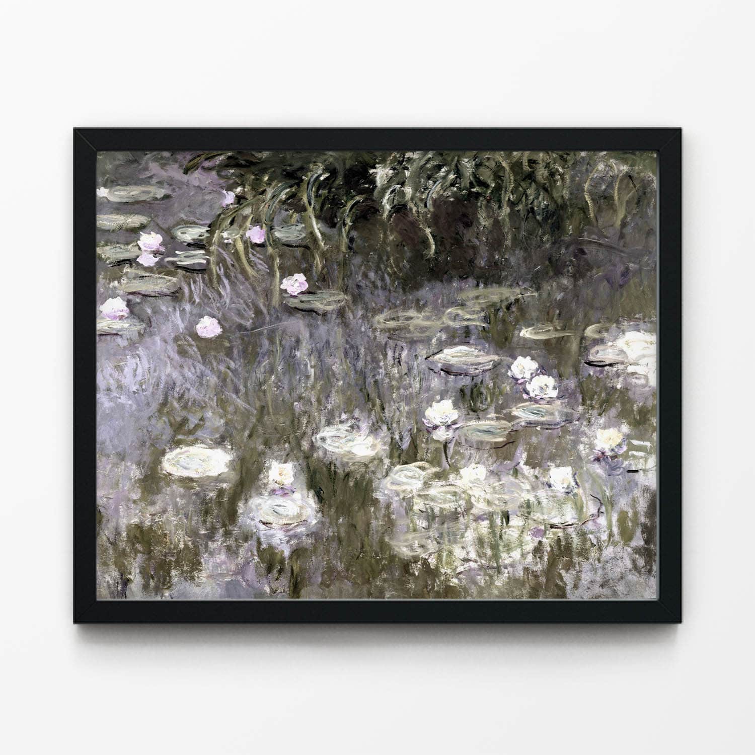 White Lilies on a Pond Art Print in Black Picture Frame