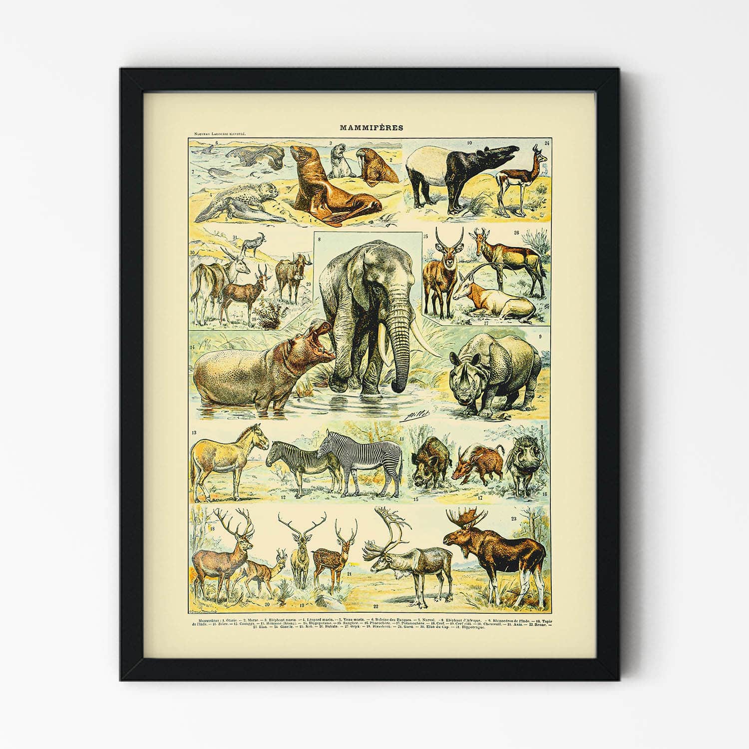 Large Mammals Painting in Black Picture Frame