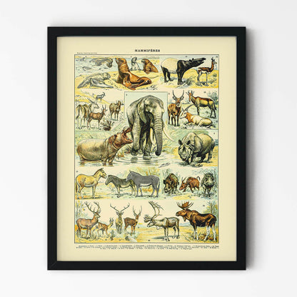 Large Mammals Painting in Black Picture Frame