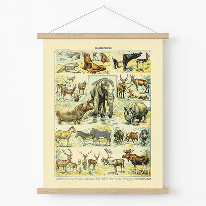 Large Mammals Art Print in Wood Hanger Frame on Wall