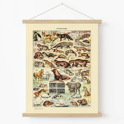 Cute Animal Art Print in Wood Hanger Frame on Wall