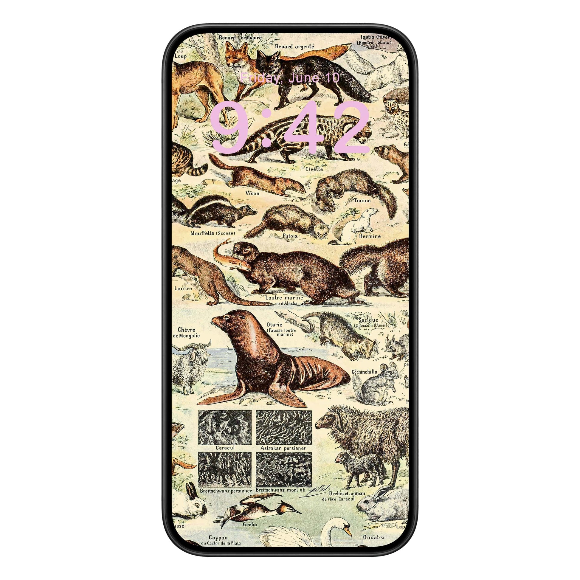 Wild Animals Phone Wallpaper Pink Text