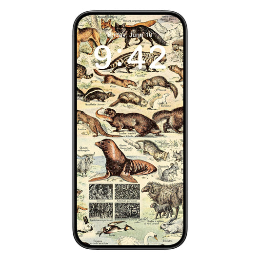Wild Animals phone wallpaper background with cute animal chart design shown on a phone lock screen, instant download available.