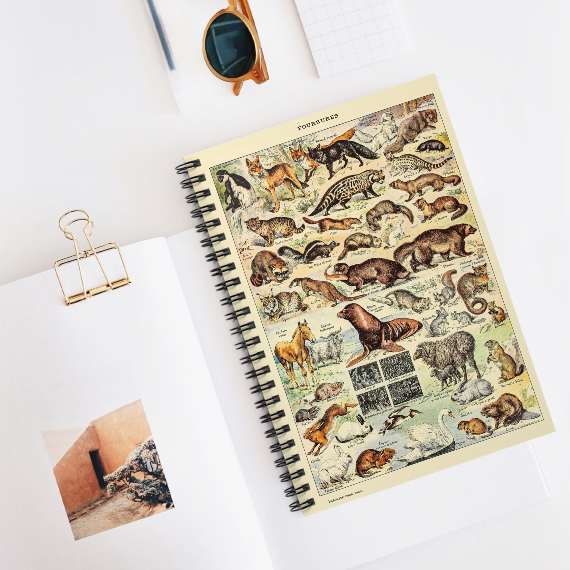 Wild Animals Spiral Notebook Displayed on Desk