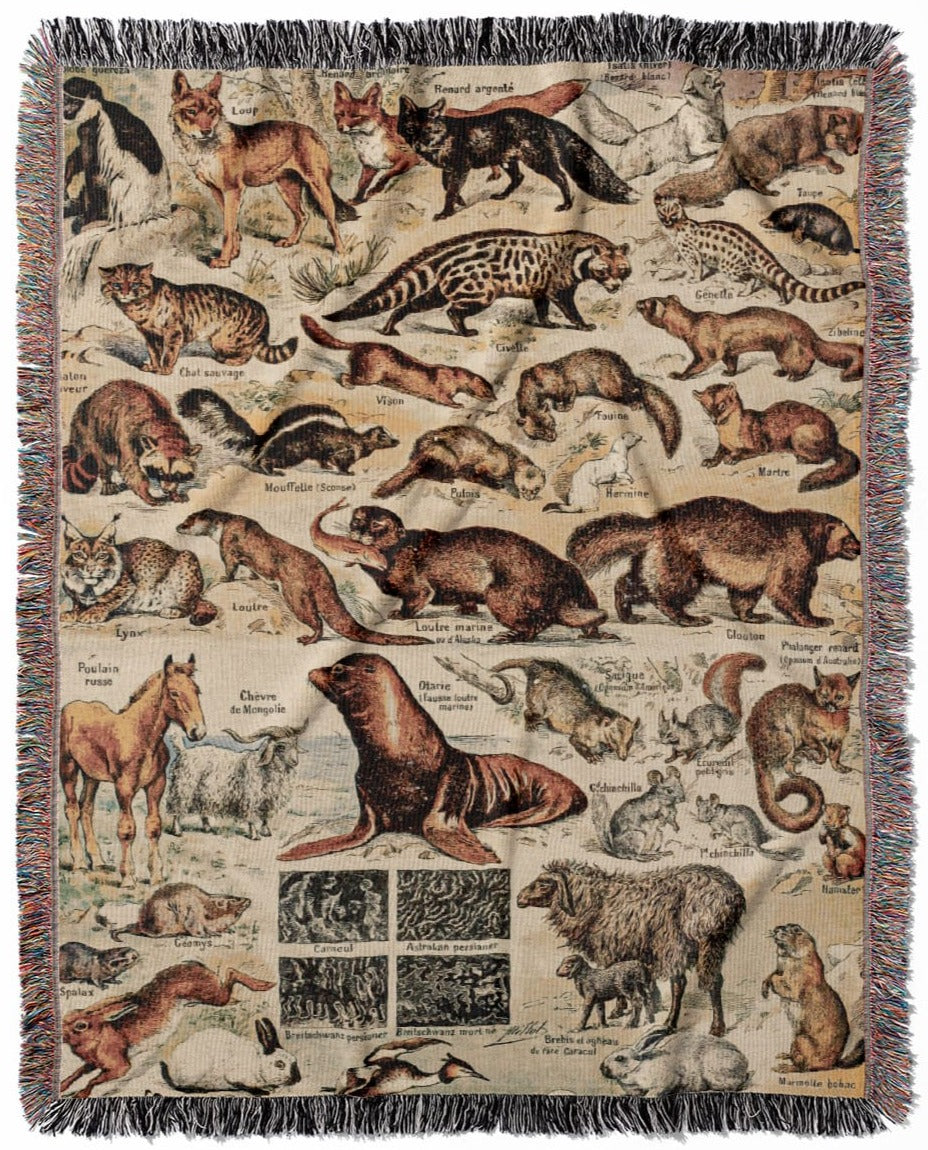 Wild Animals woven throw blanket, crafted from 100% cotton, delivering a soft and cozy texture with a cute animal chart for home decor.